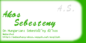 akos sebesteny business card